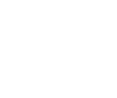 VALD Performance